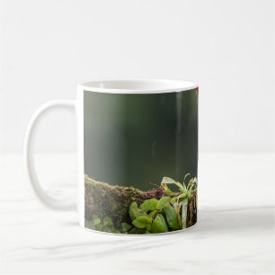 birds are the only animals with feathers 2 coffee mug