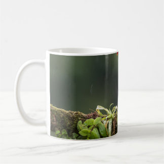 birds are the only animals with feathers 2 coffee mug