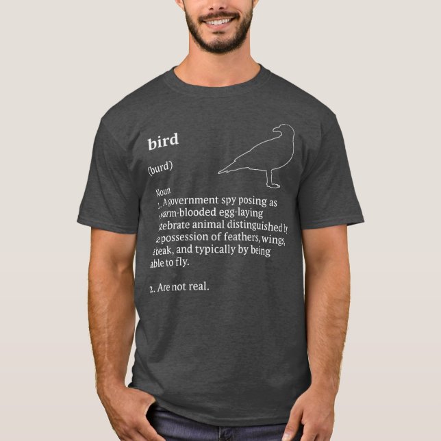 Birds Arent Real Dictionary Minimalist T-Shirt (Front)