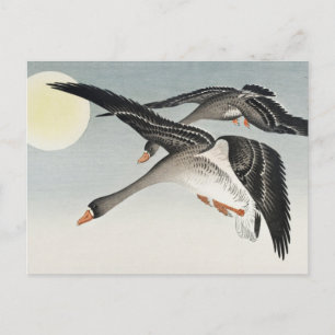 Birds at Full Moon Painting by Ohara Koson Postcard