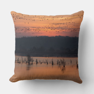 Birds at sunrise cushion