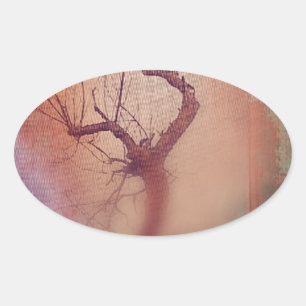 Birds before the storm oval sticker