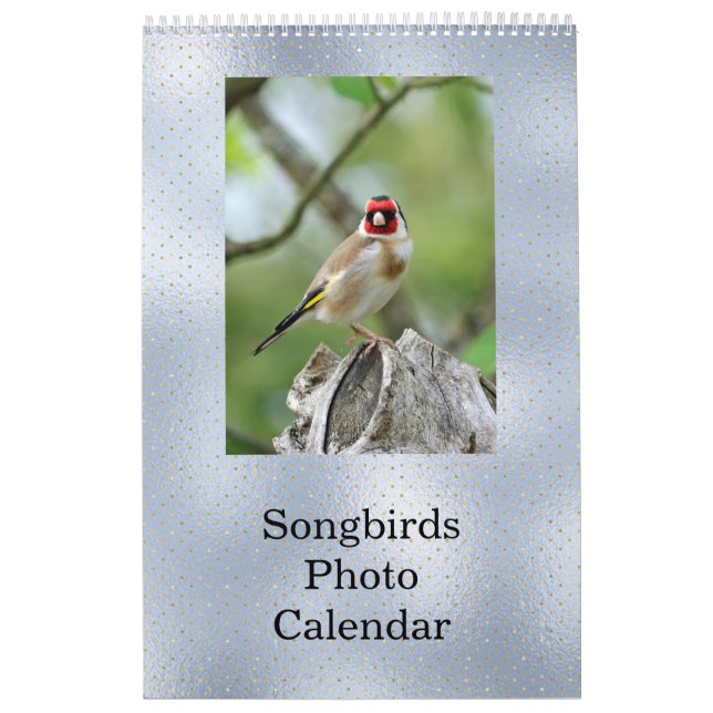 Birds Blue Photo Customisable Calendar (Cover)