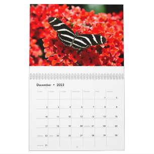Birds, Butterflies, and Flowers Calendar 