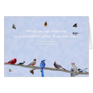 Birds& Butterflies-Civilisation other than our own