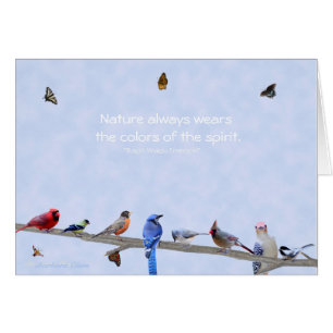 Birds & Butterflies wear colours of the spirit: