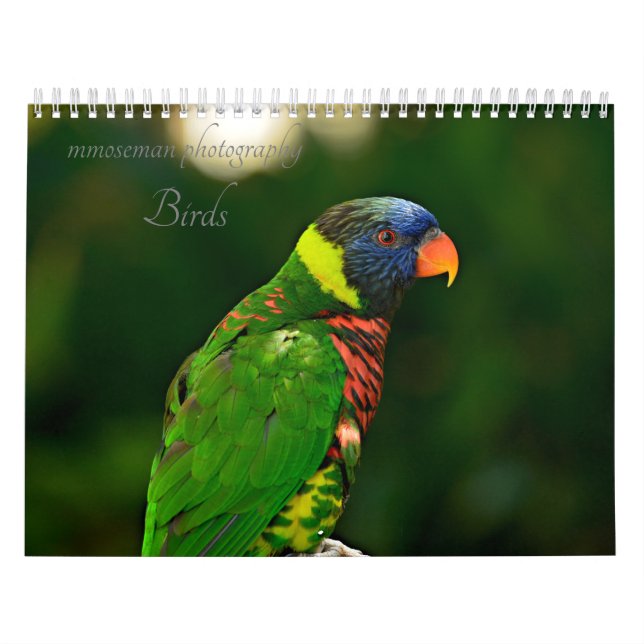 Birds Calendar (Cover)