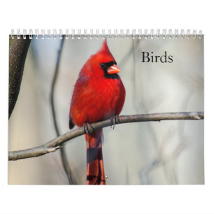 Birds Calendar