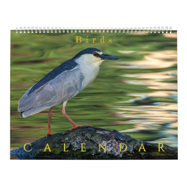 Birds Calendar (Cover)