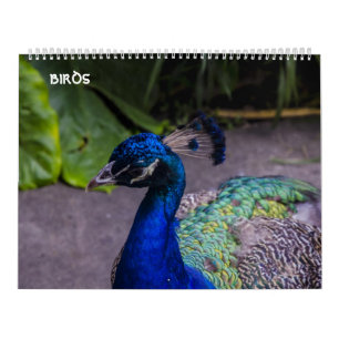 birds calendar