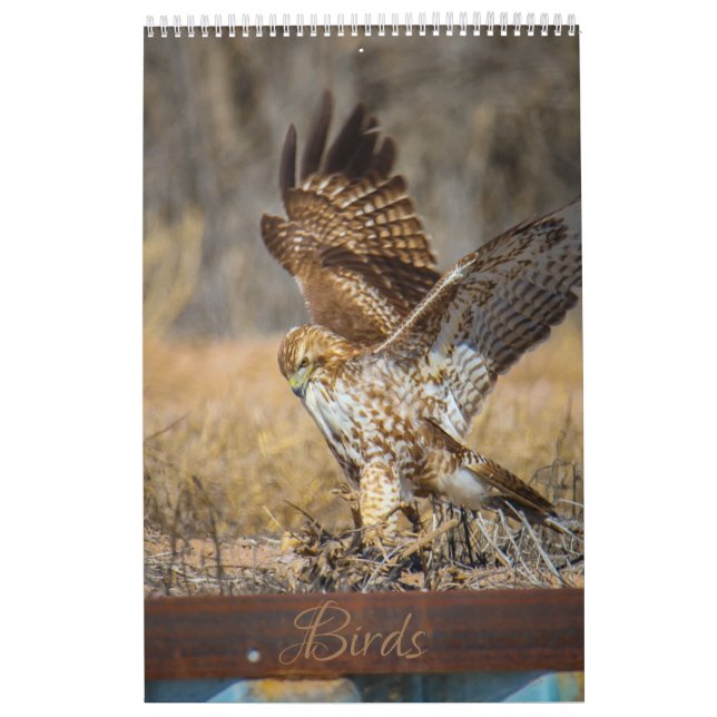 birds  calendar (Cover)