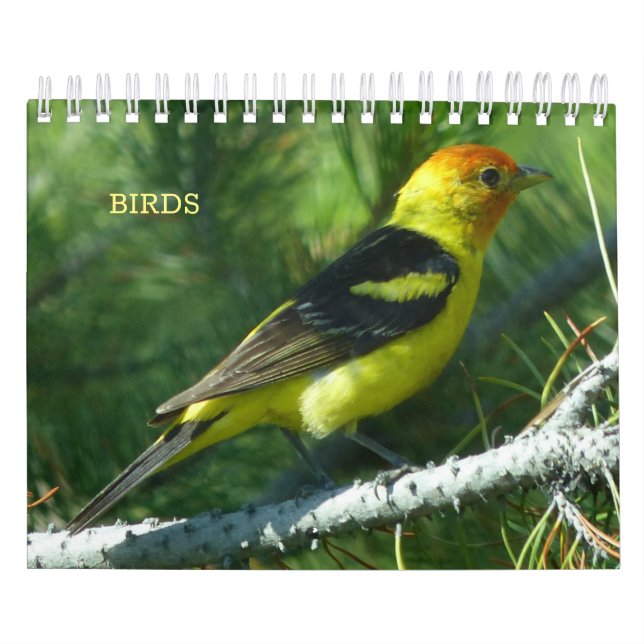 Birds Calendar (Cover)