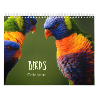 birds calendar 2023