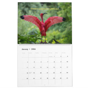 Birds Calendar 2026 - With bible verses