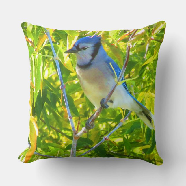 Birds Canada Goose Northern Blue Jay Custom 2 Pics Cushion (Front)