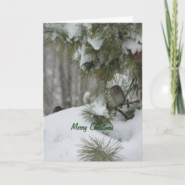 Birds Christmas Shelter Holiday Card (Front)