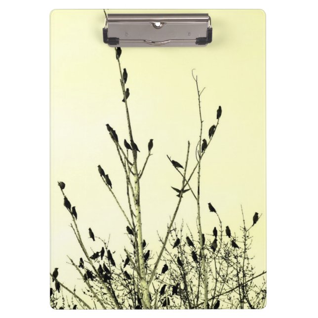 Birds Clipboard (Front)