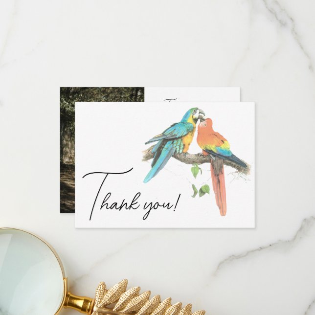 Birds Couple Colourful Tropical Elegant Thank You Card (Front/Back In Situ)
