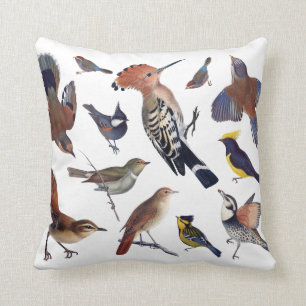 Birds cushion