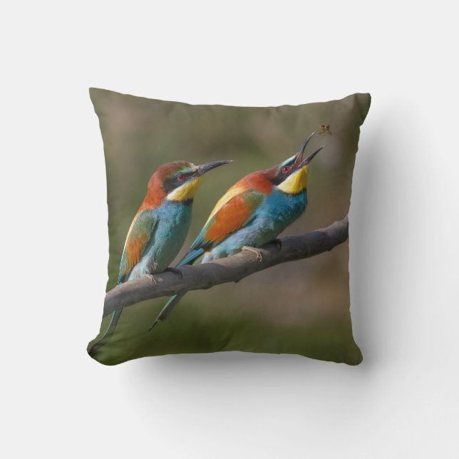 Birds Cushion (Front)