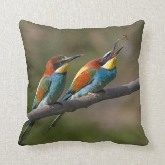 Birds Cushion
