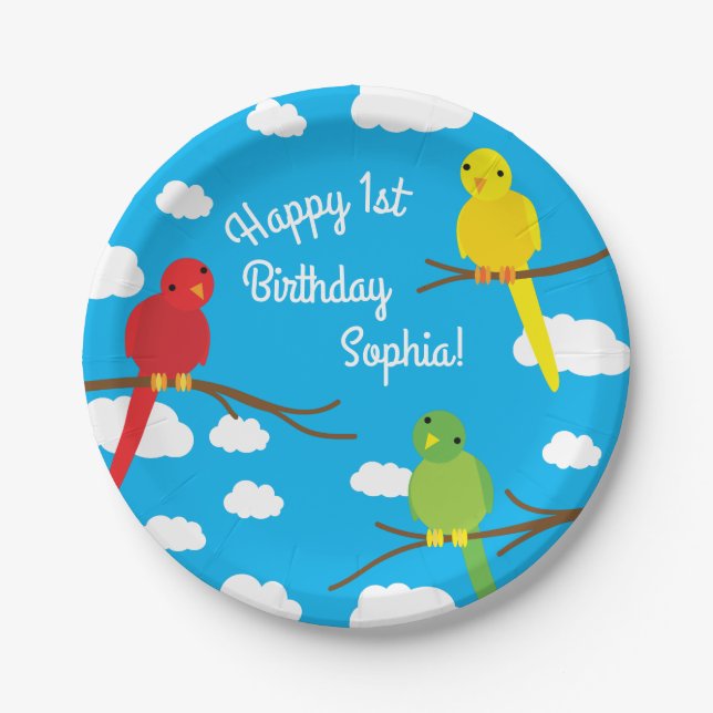 Birds Cute Colorful Spring 1st Birthday Paper Plate (Front)