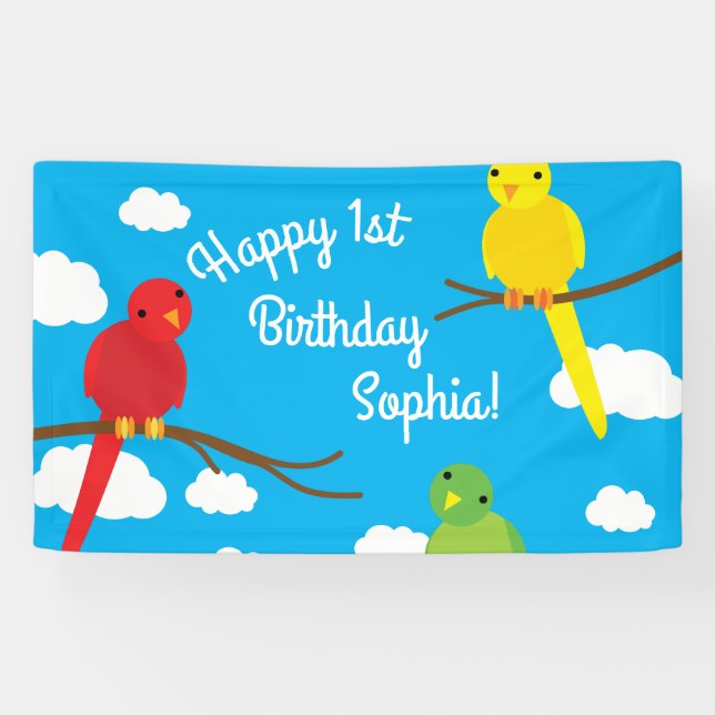 Birds Cute Colourful Spring 1st Birthday Banner (Horizontal)