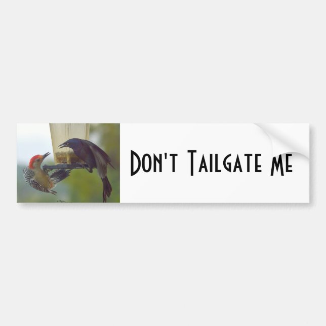 Birds Dont Tailgate Me Bumper Sticker (Front)