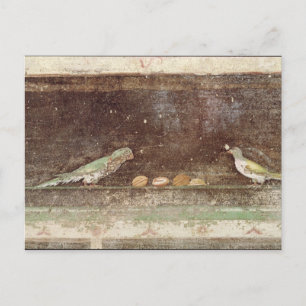 Birds eating nuts postcard