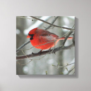 Bird's Eye View (Cardinal)Square Wrapped Canvas