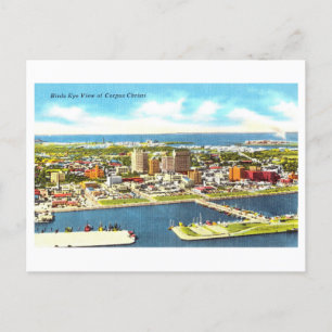 Bird's-Eye View of Corpus Christi, Texas, Vintage Postcard
