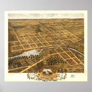 Bird's Eye View of Naperville Illinois (1869) Poster