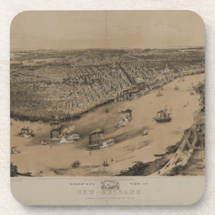 Birds' eye view of New Orleans from 1851 Coaster