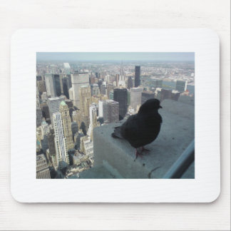 Bird's Eye View of New York Mouse Pad