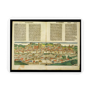 Bird's Eye View of Ratisbon, from the Nuremberg Ch Magnet