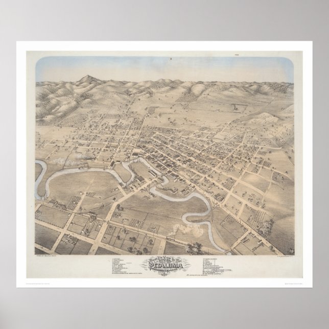 Bird's eye view of the City of Petaluma (1298) Poster (Front)