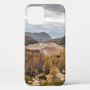 BIRD'S EYE VIEW PHOTOGRAPHY OF TREES NEAR MOUNTAIN iPhone 12 CASE