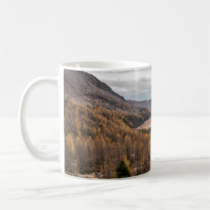 BIRD'S EYE VIEW PHOTOGRAPHY OF TREES NEAR MOUNTAIN COFFEE MUG
