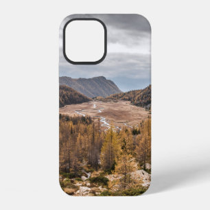BIRD'S EYE VIEW PHOTOGRAPHY OF TREES NEAR MOUNTAIN iPhone 12 CASE