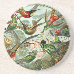 birds flowers flower bird nature vintage painting coaster