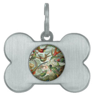 birds flowers flower bird nature vintage painting pet ID tag