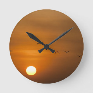 Birds flying in sunset round clock