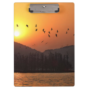 Birds Flying in Sunset Sky Over East Lake Photo Clipboard