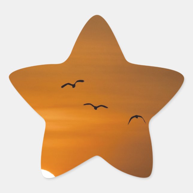 Birds flying in sunset star sticker (Front)
