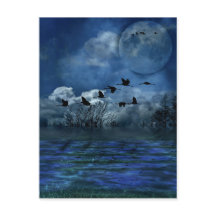 Birds flying in the night