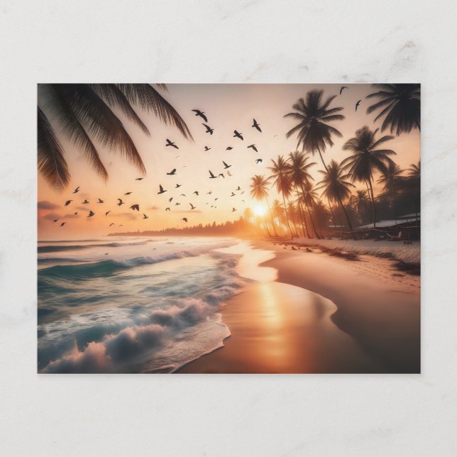 Birds Flying over a Beach at Sunset Postcard (Front)