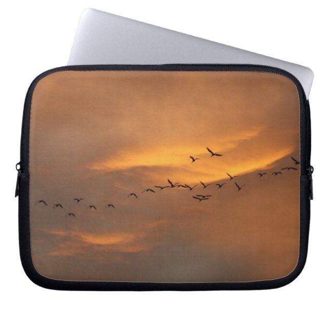 birds flying over san miguel de allende, mexico laptop sleeve (Front)
