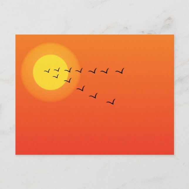 Birds flying to the sun postcard (Front)