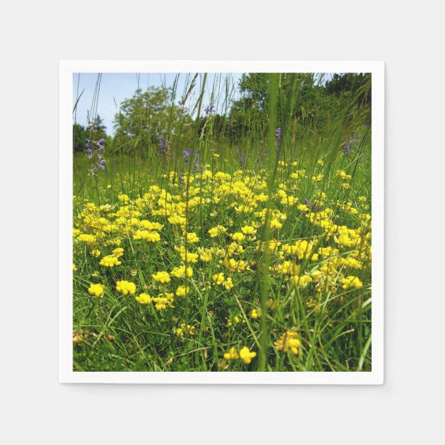 Birds-foot Trefoil Paper Napkins (Front)