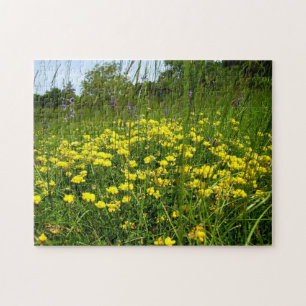 Birds-foot Trefoil Photo Puzzle